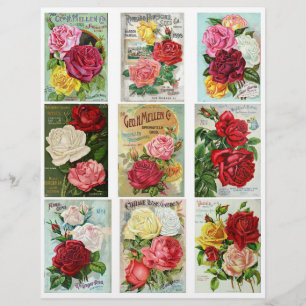 Original Vintage Blume Saatkatalog-Abdeckung