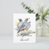 Original Wasserfarbe California Quail. Bird Postkarte (Stehend Vorderseite)