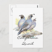 Original Wasserfarbe California Quail. Bird Postkarte (Vorne/Hinten)