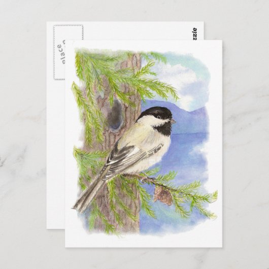 Original Wasserfarbe Chickade in Pine Tree Postkarte (Vorne/Hinten)