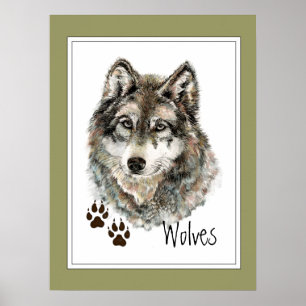Original Watercolor Grau Wolf - Tracks Animal Poster