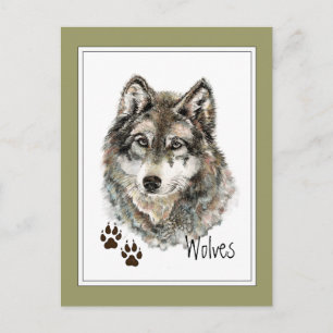 Original Watercolor Grau Wolf - Tracks Animal Postkarte
