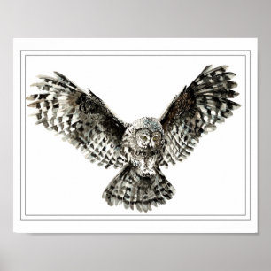Original Watercolor Striking or Hunting Owl Bird Poster