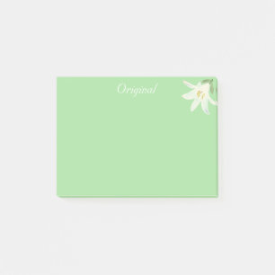 Original weiße Amaryllis-Blüte auf hellgrün Post-it Klebezettel