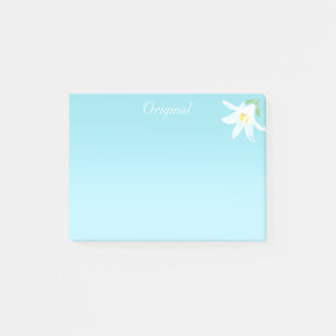 Original White Amaryllis Blume auf Light Blue Post Post-it Klebezettel