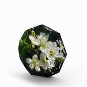 Original White Plum Photo Graduation Art Block (Rechts)