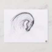 Original Zeichnend 2 Pferdejahr Zodiac Postkarte (Vorderseite)