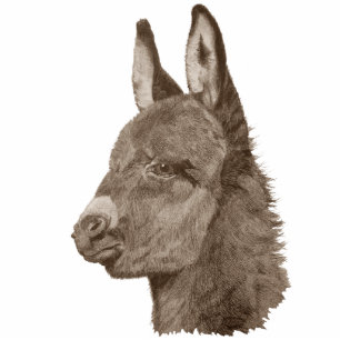 Originalbild des niedlichen Babydonkeys Fotoskulptur Magnet