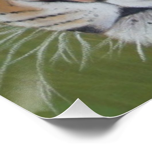 Originalbild des Tigers Poster (Ecke)