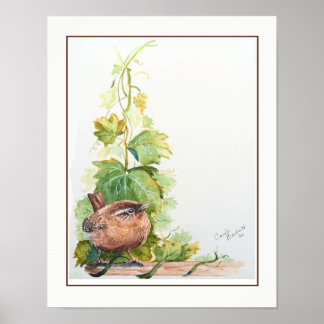 Originale Aquarellkunst Pazifischer Zaunkönig Voge Poster