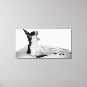 Originale Kunst: "Kitsa Diva" Leinwanddruck