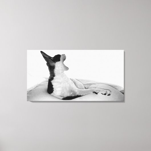 Originale Kunst: "Kitsa Diva" Leinwanddruck (Vorderseite)