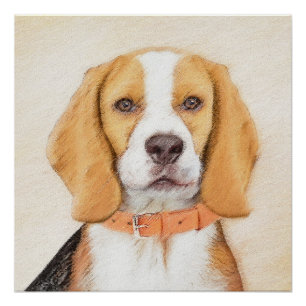 Originaltierkunst: Gemälde eines Beagle-Hundes Poster