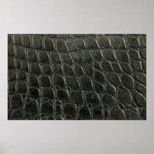 Originelle schwarze Alligatorledertextur, nah Poster