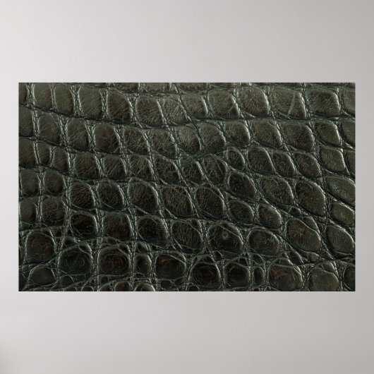 Originelle schwarze Alligatorledertextur, nah Poster (Vorne)
