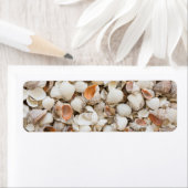 Originelles Naturmuster Seashell Stil Hintergrund (Insitu)