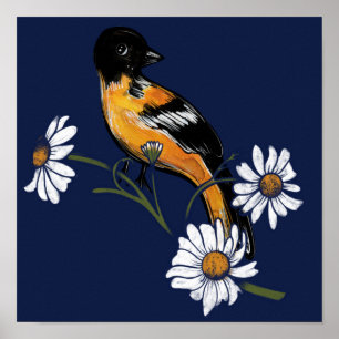 Oriole Bird Daisy Blume Naturkunde Poster