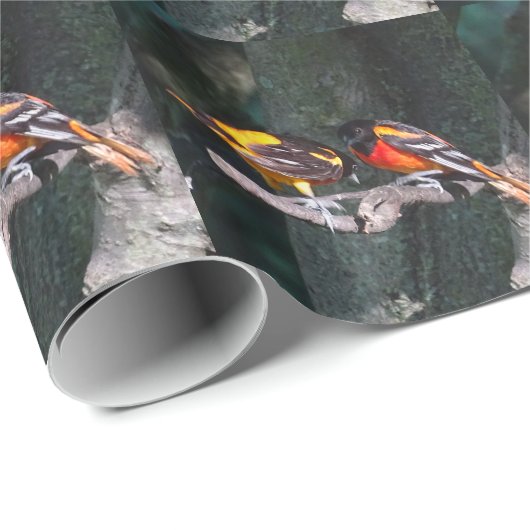 Oriole Geschenkpapier (Rolleneckpunkt)