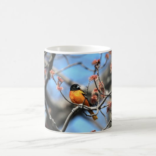 Oriole-Kaffee-Tasse Kaffeetasse (Mittel)
