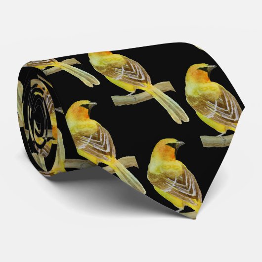 Oriole Krawatte (Gerollt)