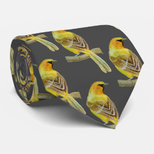 Oriole Krawatte