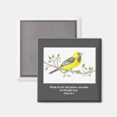 Oriole Magnet (Vorderseite/Rückseite)