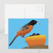 Oriole Postcard Postkarte (Vorne/Hinten)