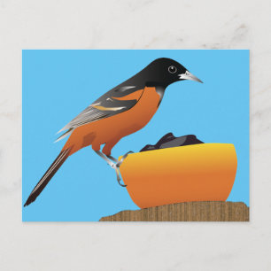 Oriole Postcard Postkarte