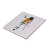 Oriole-Vogel mit Dreieck-Aquarell-Malerei Fliese (Seite)