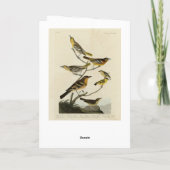 Orioles, Thrushes, von Audubons Vögeln von Amerika Karte (Rückseite)