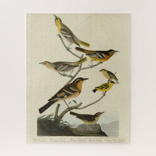 Orioles, Thrushes, von Audubons Vögeln von Amerika Puzzle