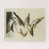 Orioles, Thrushes, von Audubons Vögeln von Amerika Puzzle (Horizontal)