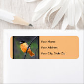 Oriolmalerei - Original Vogelkunst (Insitu)