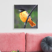 Oriolmalerei - Original Vogelkunst Leinwanddruck (Insitu (Wohnzimmer))