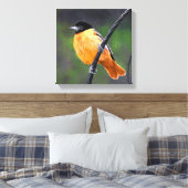 Oriolmalerei - Original Vogelkunst Leinwanddruck (Insitu (Schlafzimmer))