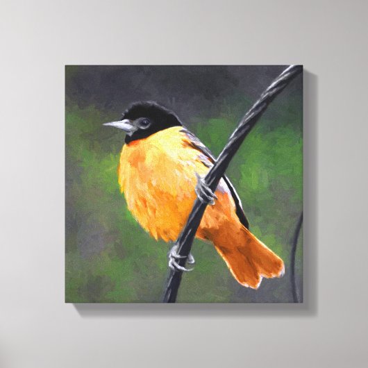 Oriolmalerei - Original Vogelkunst Leinwanddruck (Vorderseite)