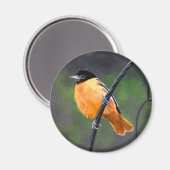Oriolmalerei - Original Vogelkunst Magnet (Vorderseite/Rückseite)