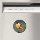 Oriolmalerei - Original Vogelkunst Magnet (In Situ (Geschirrspüler))