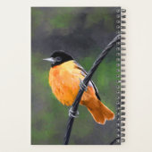 Oriolmalerei - Original Vogelkunst Planer (Rückseite)