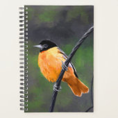 Oriolmalerei - Original Vogelkunst Planer (Vorderseite)