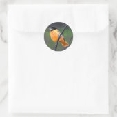 Oriolmalerei - Original Vogelkunst Runder Aufkleber (Tasche)
