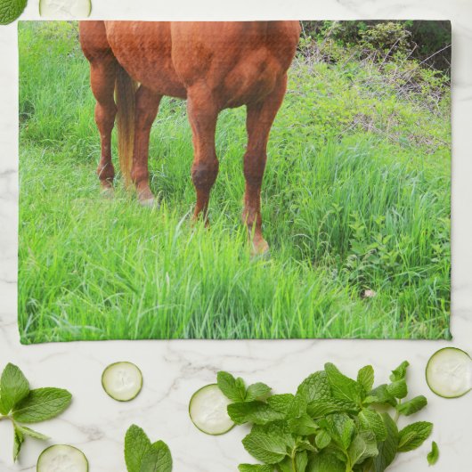 Orion Geschirrtuch (Gefaltet)