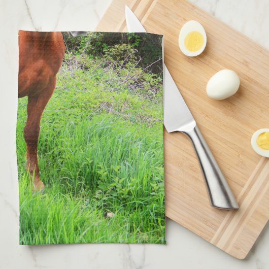 Orion Geschirrtuch (Viertel Falte)