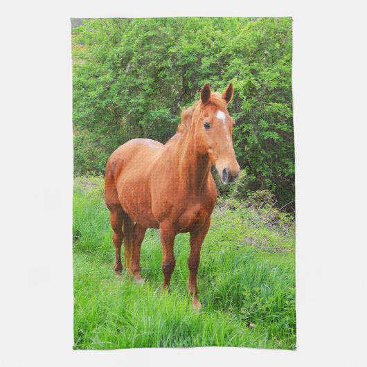 Orion Geschirrtuch (Vertikal)