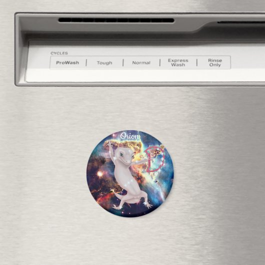 Orion Magnet (In Situ (Geschirrspüler))