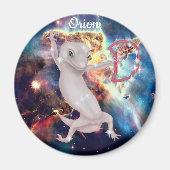 Orion Magnet (Vorne)