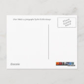 Orions-Nebelfleckpostkarte Postkarte (Rückseite)