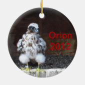 Orions-Verzierung 2012 Keramikornament (Hinten)