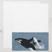 Orka Wal (Vorne/Hinten)