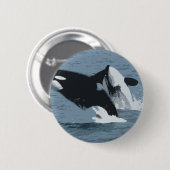 Orka Wal Button (Vorne & Hinten)